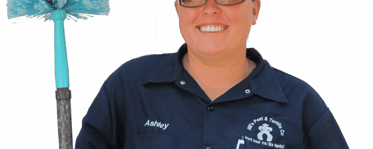 Top 10 Phoenix Arizona Pests – Most Common Pests in Phoenix AZ