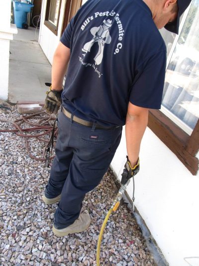 Should I Treat Termites Myself - Bills Pest Termite Control