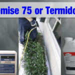Premise 75 or Termidor
