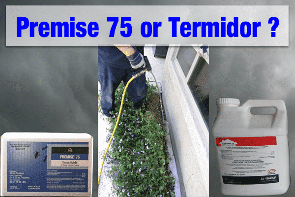 Premise 75 or Termidor