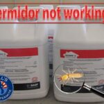 Termidor not working