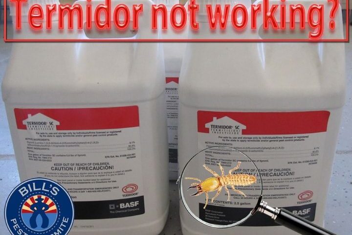 Termidor not working