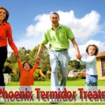 Comprehensive Guide to Phoenix Termidor Treatment for Homeowners