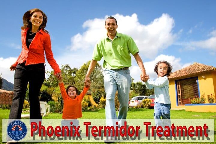 Comprehensive Guide to Phoenix Termidor Treatment for Homeowners
