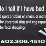 How do I tell if I have Bed Bugs