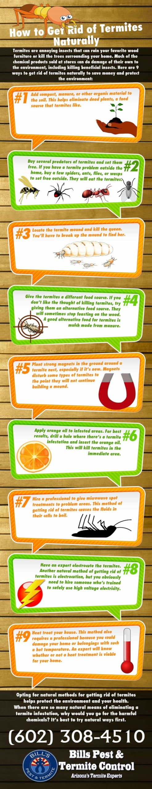 Want to know How to Get Rid of Termites Naturally?