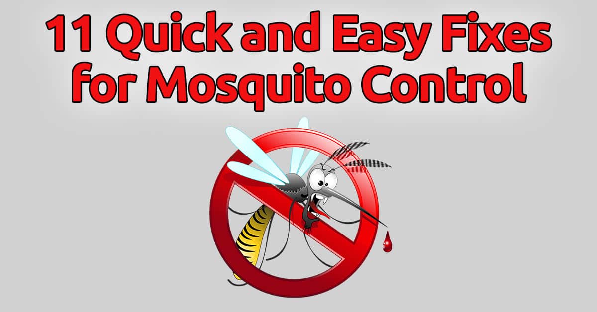 11 Quick and Easy Fixes Mosquito Control