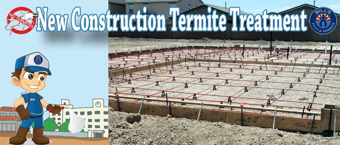 Should I Treat for Termites Before Construction?