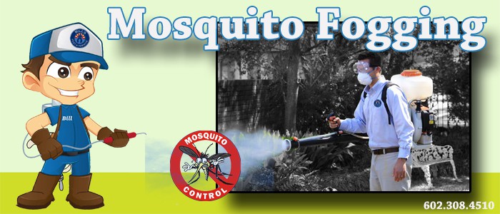 One of the Top Ways to Reduce Mosquitoes in Phoenix Az - Mosquito Fogging 