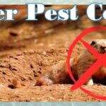 Gopher Pest Control and Removal Phoenix Az