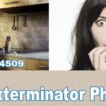 How do exterminators get rid of roaches?