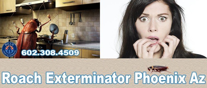 How do exterminators get rid of roaches?