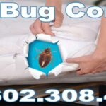 Bed Bug Biology and Pheromones Bills Pest Termite Control