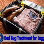 Bed Bug Treatment for Luggage