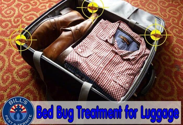 Bed Bug Treatment for Luggage