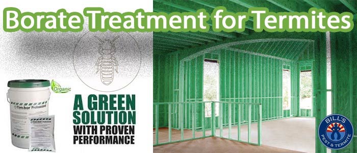 Best Borate Termite Treatment Phoenix Az | Termite Control