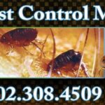 Best Flea Pest Control Mesa AZ – Bill's Pest Termite Control