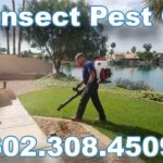 Flying Insect Pest Control Phoenix Az | Insect Exterminator