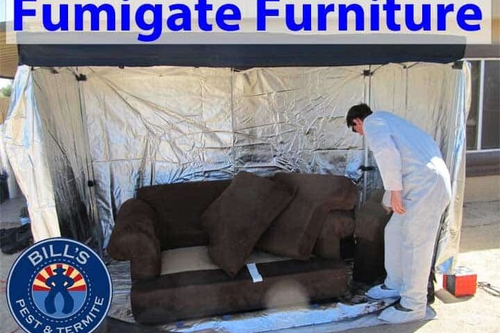 Best Fumigate Furniture Phoenix Az - Bills Pest Termite Control