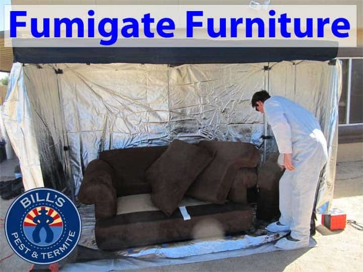 Best Fumigate Furniture Phoenix Az - Bills Pest Termite Control