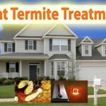 Best Termite Heat Treatment Services Phoenix AZ