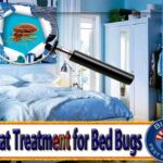 Bed Bug Heat Treatment or Chemical Treatment?