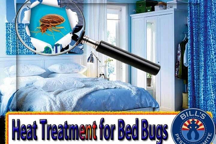 Bed Bug Heat Treatment or Chemical Treatment?