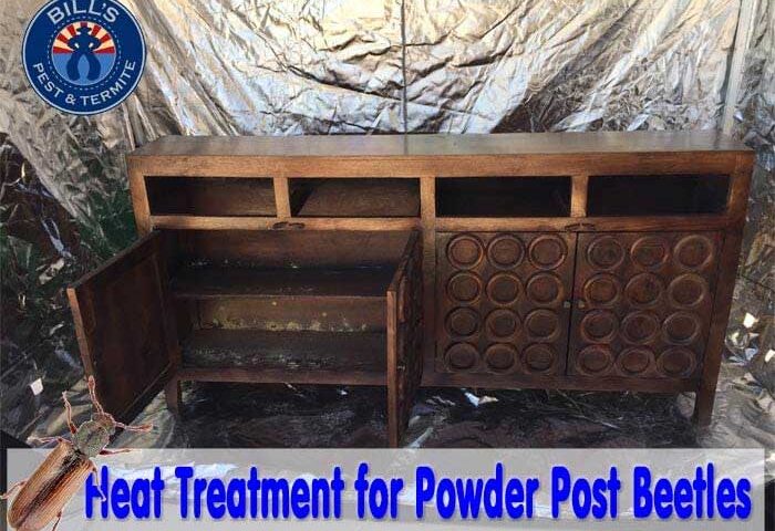 Heat Treatment Powder Post Beetles Phoenix AZ