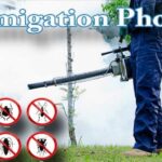 Best Pest Control Fumigation Phoenix AZ