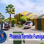 Best Fumigate Furniture Termites Phoenix Az Service