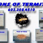 Signs of Termites in Arizona