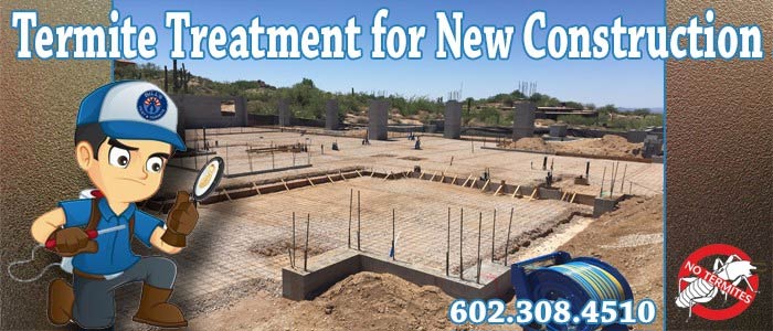 Best Termite Treatment for New Construction
