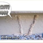 Understanding Termite Tubes - What are Termite Mud Tubes?