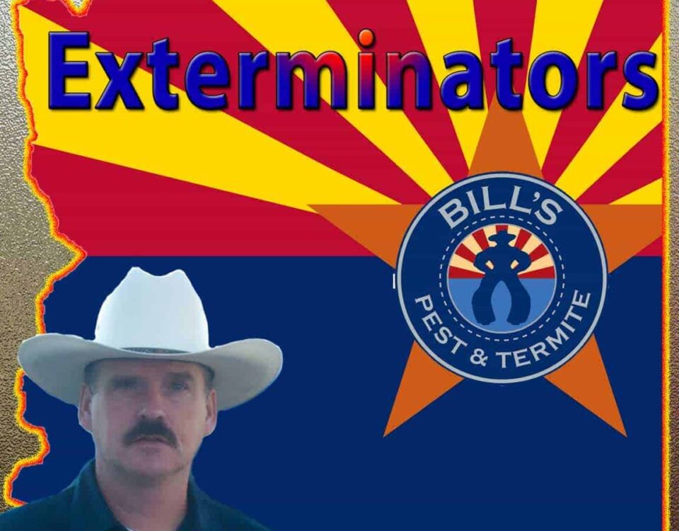 Arizona Exterminators: Your Ultimate Solution to Pest Problems with Bills Pest Termite Control