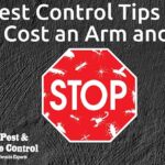 15 Pest Control Tips That Won't Cost an Arm and a Leg