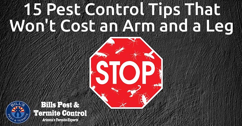15 Pest Control Tips That Won't Cost an Arm and a Leg
