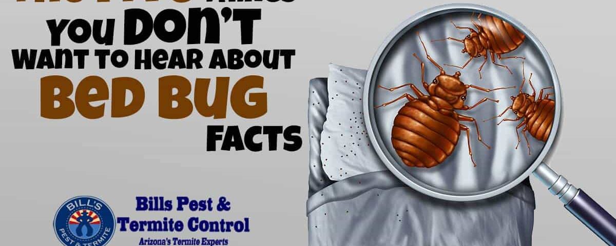Bed Bug Facts - You Don't Want To Hear This | Bills Bed Bug Removal