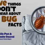 Bed Bug Facts - You Don't Want To Hear This | Bills Bed Bug Removal