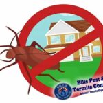 Pest Control Methods Debunked by an Expert