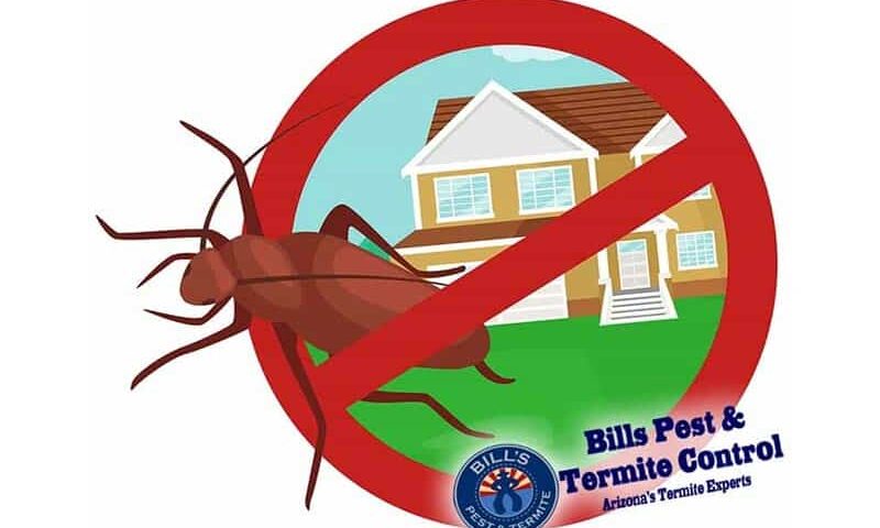 Pest Control Methods Debunked by an Expert