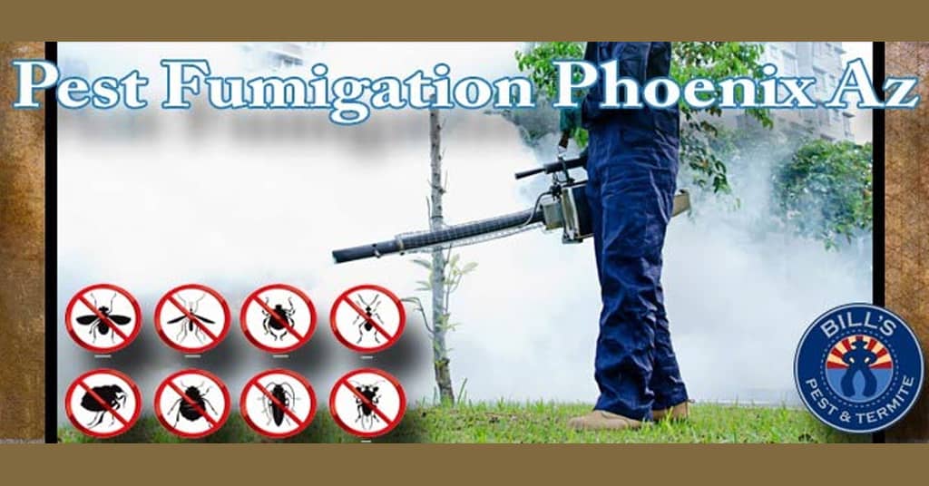 Best Furniture Fumigation Phoenix Az Service