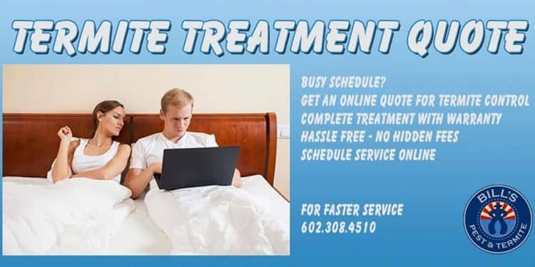 Free Borate Termite Control Service Quotes 24/7 - TEXT 602.786.7386