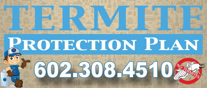 Arizona Termite Protection Plan Phoenix Az