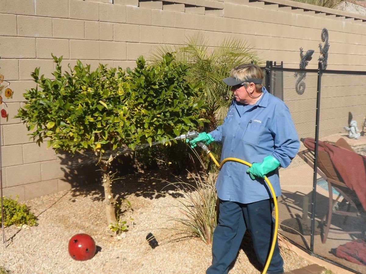 Best Arizona Exterminators Service Phoenix AZ