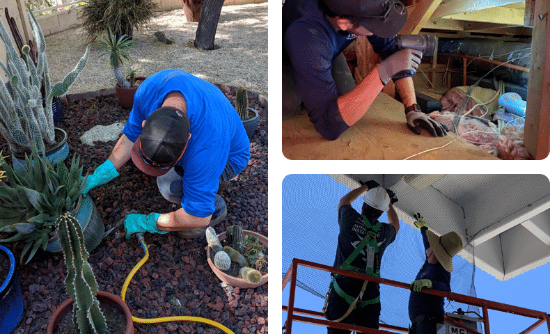 pest control qualifying party in phoenix az