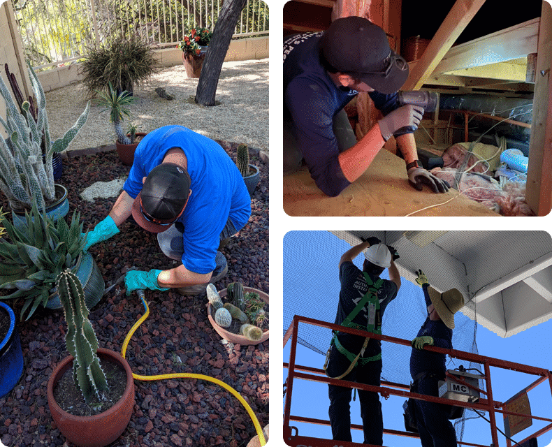 pest control qualifying party in phoenix az