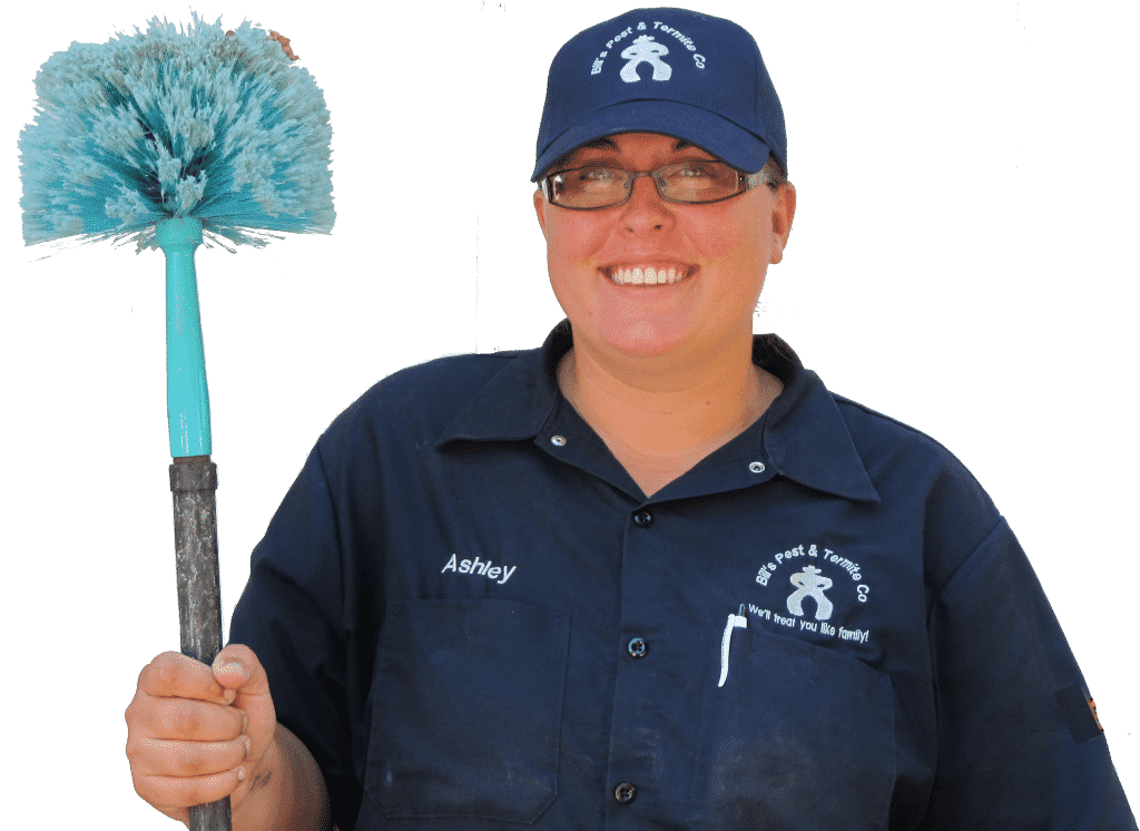 Need to know more about Pests to Eradicate in Phoenix AZ - 602.308.4509