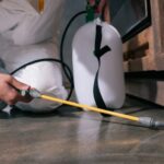 Best Pest Control Company in Phoenix Az