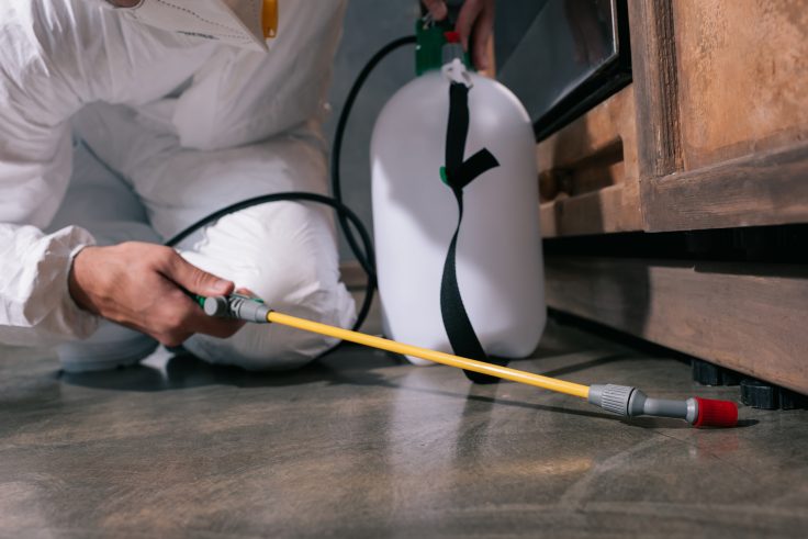Best Pest Control Company in Phoenix Az