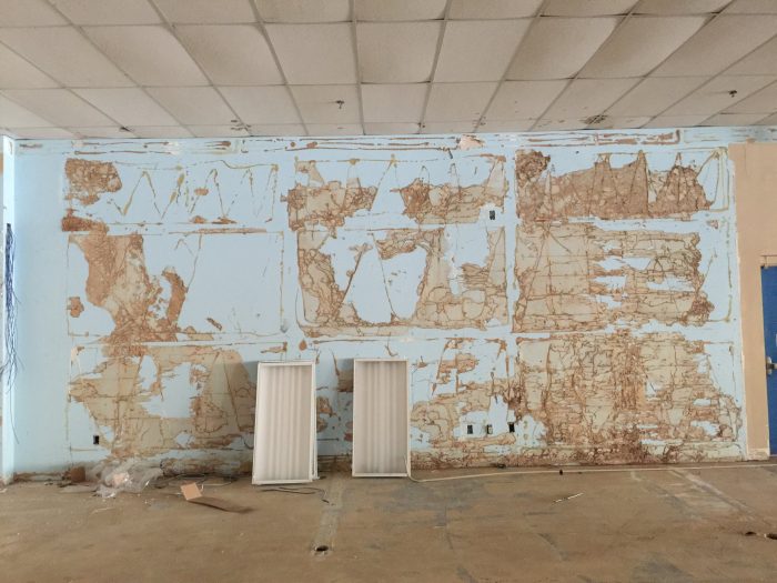 Protect your home from termite damage